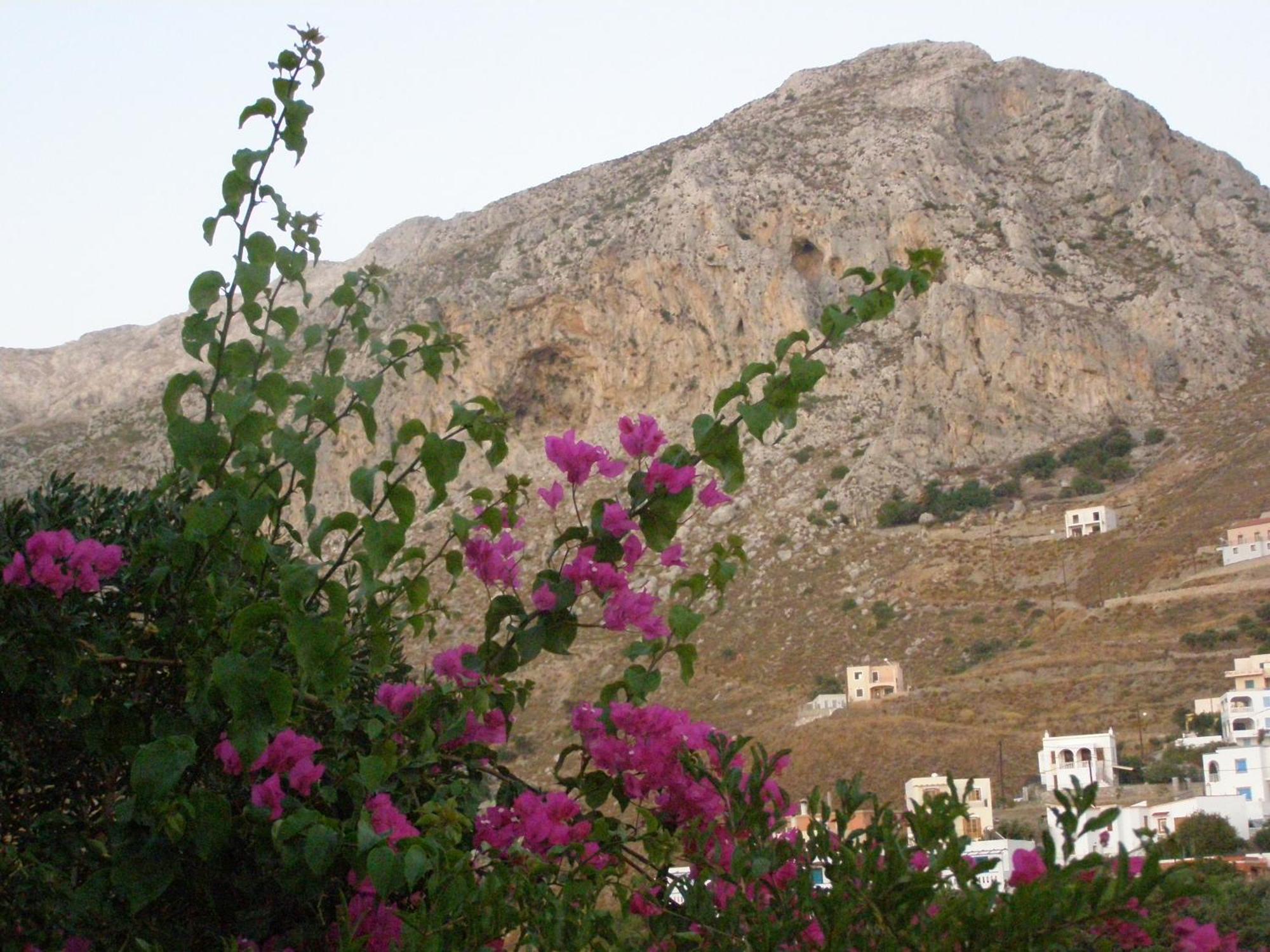 Studios Aeolos Kalymnos Mirtiész Kültér fotó